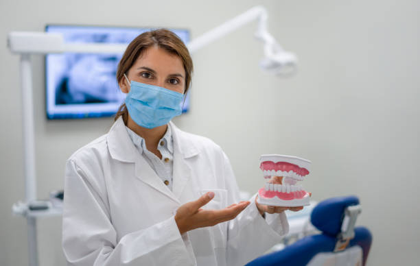 Best Emergency Orthodontic Repairs in Volo, IL